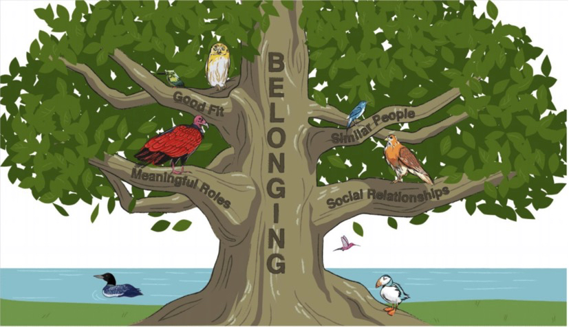 The belonging framework represented as a tree.